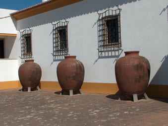 Cartuxa Pots
